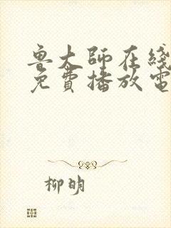 鲁大师在线影院免费播放电视剧更新
