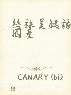 丝袜美腿诱惑,国产