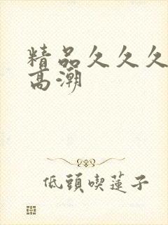 精品久久久国产高潮
