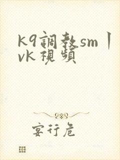 k9调教sm丨vk视频
