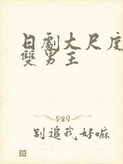 日剧大尺度推荐双男主