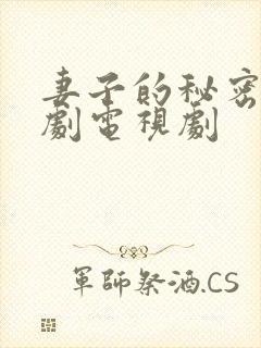 妻子的秘密6韩剧电视剧