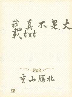 我真不是大佬下载txt
