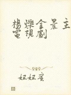 杨烁金晨主演的电视剧封面
