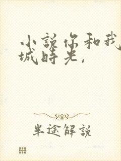 小说你和我的倾城时光,封面
