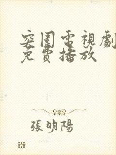 突围电视剧全集免费播放封面