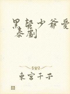 黑帮少爷爱上我 泰剧