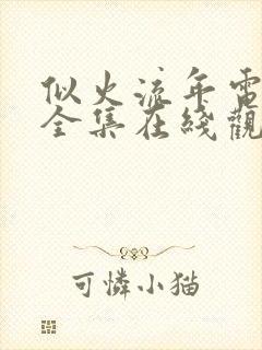 似火流年电视剧全集在线观看高清