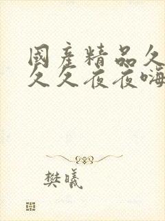 国产精品久久久久久夜夜嗨