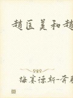 赵匡美和赵匡胤