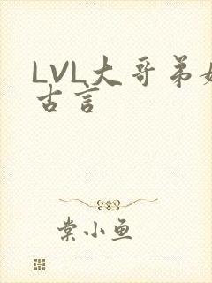 LVL大哥弟媳古言