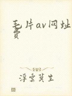 毛片av网址免费