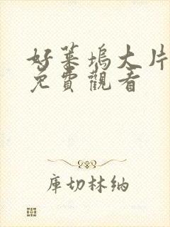 好莱坞大片电影免费观看