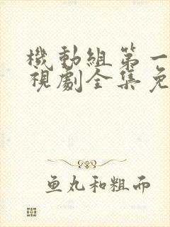 机动组第一季电视剧全集免费观看封面