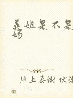 义姐是不是良妈妈封面