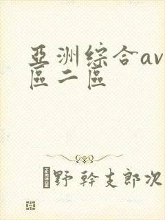 亚洲综合av一区二区
