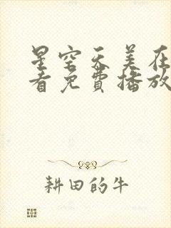 星空天美在线观看免费播放电视剧