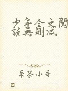 少年全文阅读小说无删减
