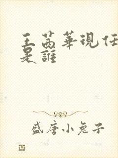 王茜华现任老公是谁封面