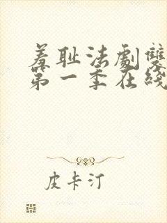 羞耻法剧双男主第一季在线播放