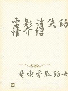 电影消失的她剧情介绍