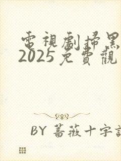 电视剧扫黑风暴2025免费观看完整版