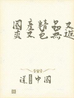 国产精品又黄又爽又色无遮挡网站