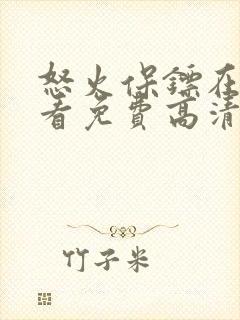 怒火保镖在线观看免费高清完整版