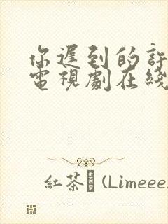 你迟到的许多年电视剧在线观看