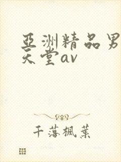 亚洲精品男人的天堂av