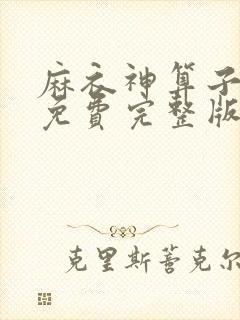 麻衣神算子小说免费完整版txt封面