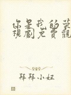你是我的荣耀电视剧免费观看高清完整版