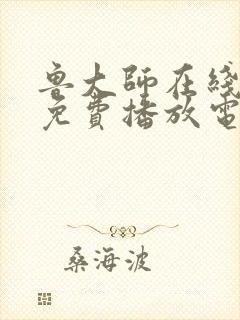 鲁大师在线观看免费播放电视剧软件封面