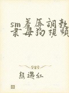 sm羞辱调教奴隶母狗视频