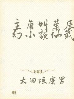 主角叫叶辰的玄幻小说仙武帝尊