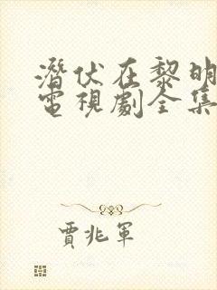 潜伏在黎明之前电视剧全集剧情
