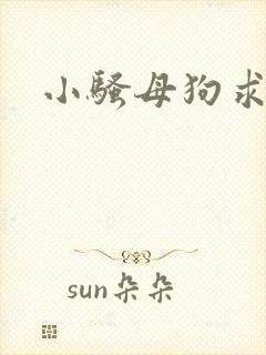 小骚母狗求操