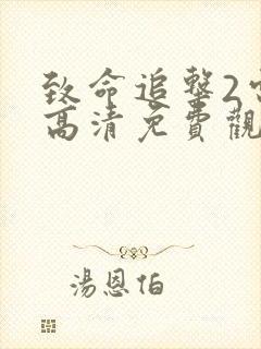 致命追击2电影高清免费观看国语