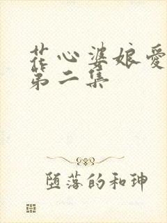 花心婆娘爱帅哥第二集