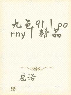九色91丨porny丨精品