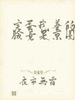 完蛋我养的小白脸竟是京圈太子爷封面