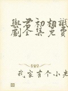 与君初相识电视剧全集免费版封面