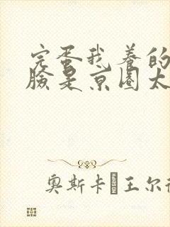 完蛋我养的小白脸是京圈太子爷短剧