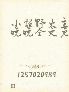 小说野火主角林晚晚全文免费阅读封面