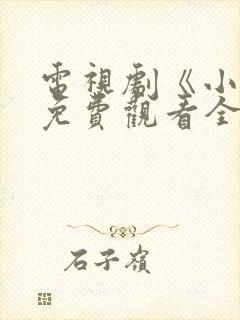 电视剧《小舅》免费观看全集高清