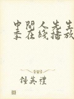 中间人先生第一季在线播放封面