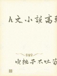 h文小说高干文