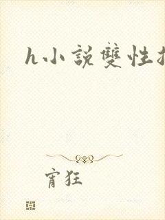 h小说双性总受