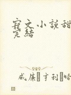 宠文小说甜宠文完结