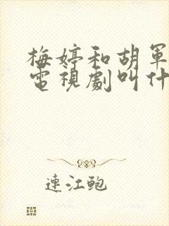 梅婷和胡军演的电视剧叫什么名封面
